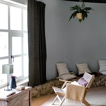 The Nest By Cooking And Nature Алвадуш