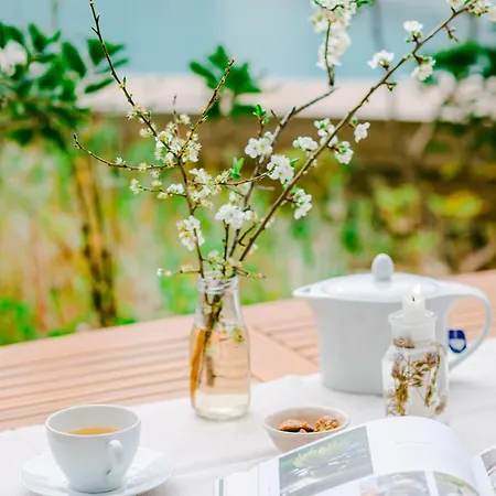 Hotel The Nest By Cooking And Nature 4*