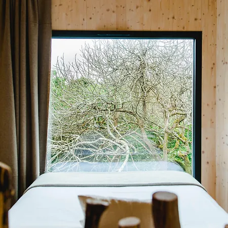 The Nest By Cooking And Nature 4* Алвадуш