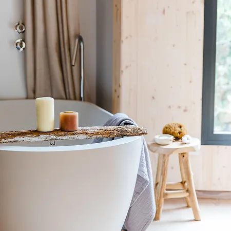 The Nest By Cooking And Nature Алвадуш
