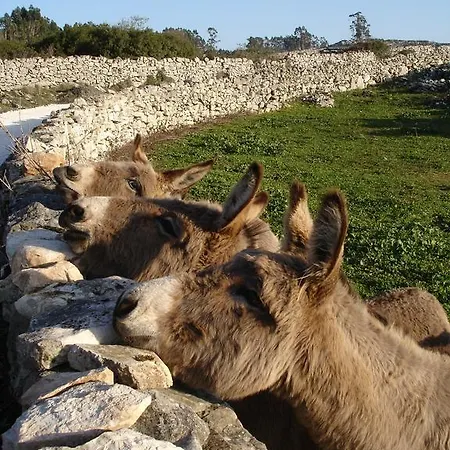 The Nest By Cooking And Nature 4* Alvados