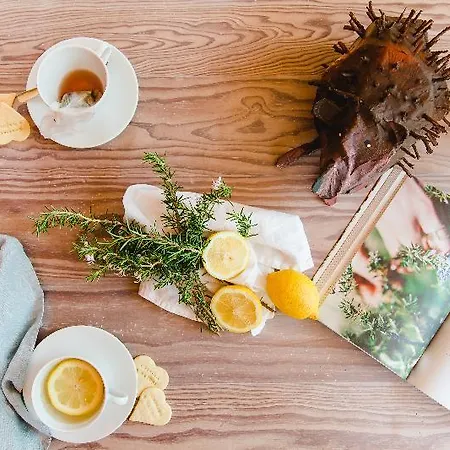 The Nest By Cooking And Nature