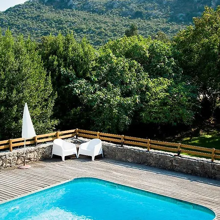 The Nest By Cooking And Nature Otel Alvados