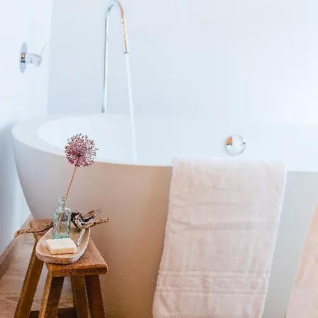 Hotel The Nest By Cooking And Nature Alvados