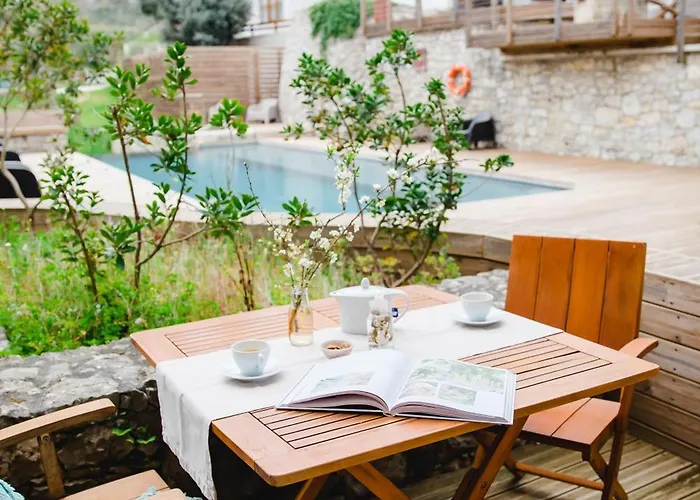 The Nest By Cooking And Nature