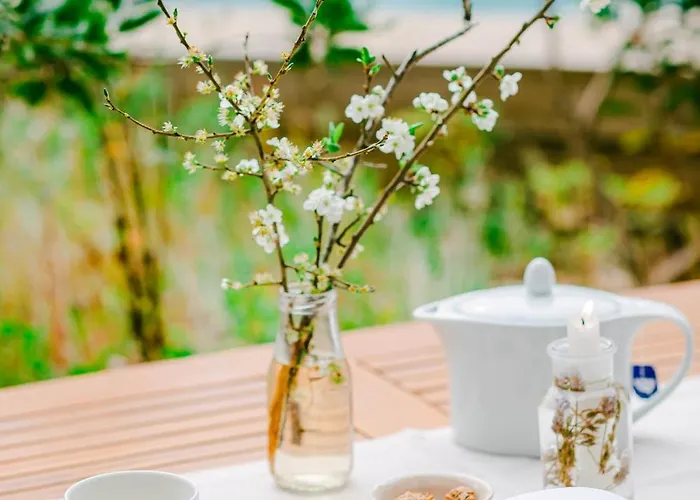 Отель The Nest By Cooking And Nature 4*