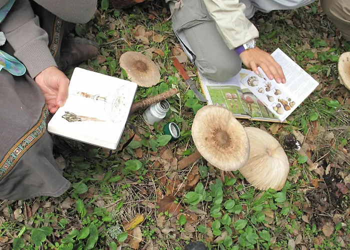 Hotel The Nest By Cooking And Nature