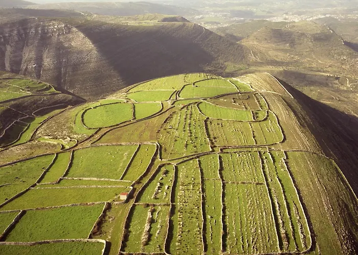 Отель The Nest By Cooking And Nature Алвадуш