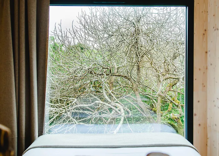 The Nest By Cooking And Nature 4* Alvados