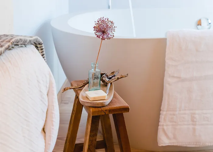 The Nest By Cooking And Nature 4* Alvados