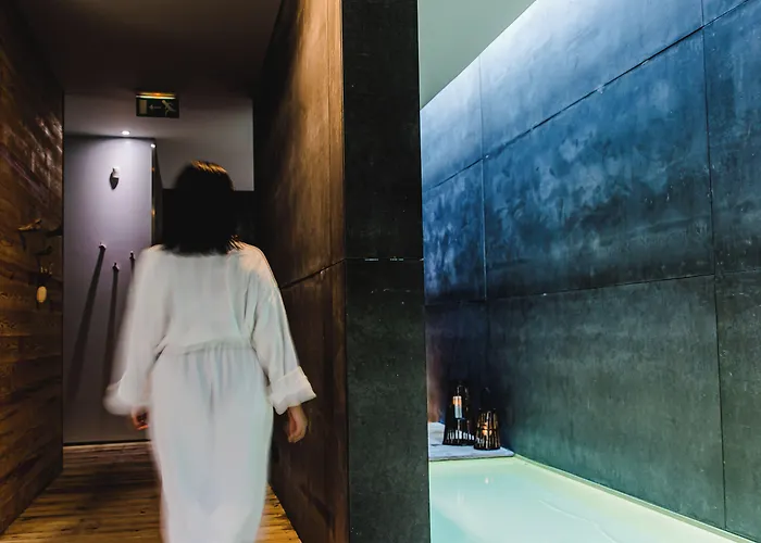 The Nest By Cooking And Nature