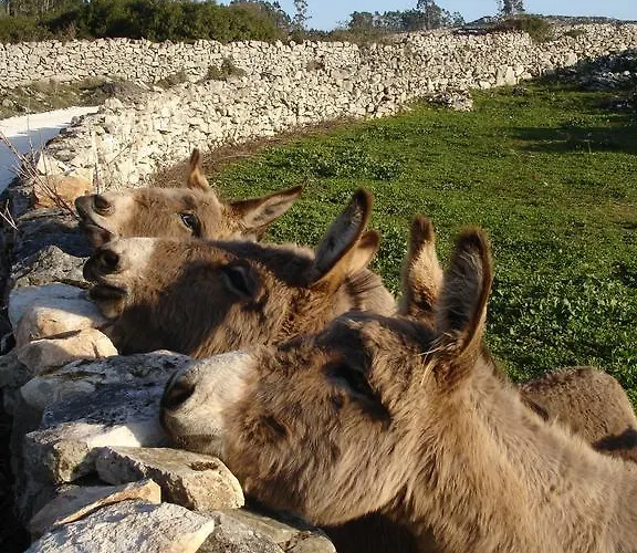 The Nest By Cooking And Nature 4* Alvados