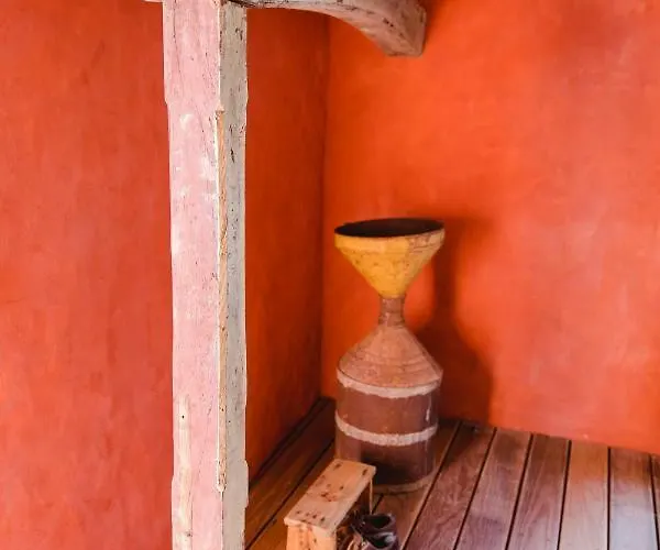 The Nest By Cooking And Nature